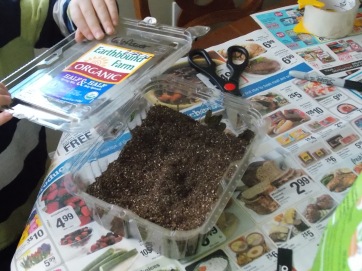 Once the seeds are watered and ready to go outside, the lid goes back on to create a mini greenhouse.